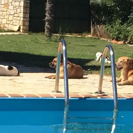 House Maestral Nyaraló *