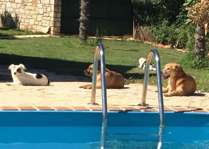 House Maestral Σπίτι διακοπών *